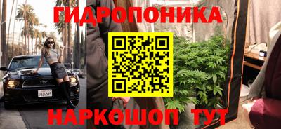 spice Будённовск