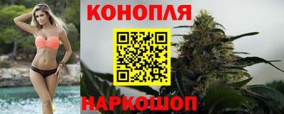 spice Будённовск
