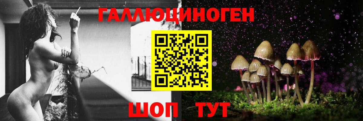 Магадан  Псилоцибиновые грибы прущие грибы  Вход с VPN  Галлюциногенные грибы прущие грибы 
